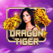 Dragon Tiger duel card cover art